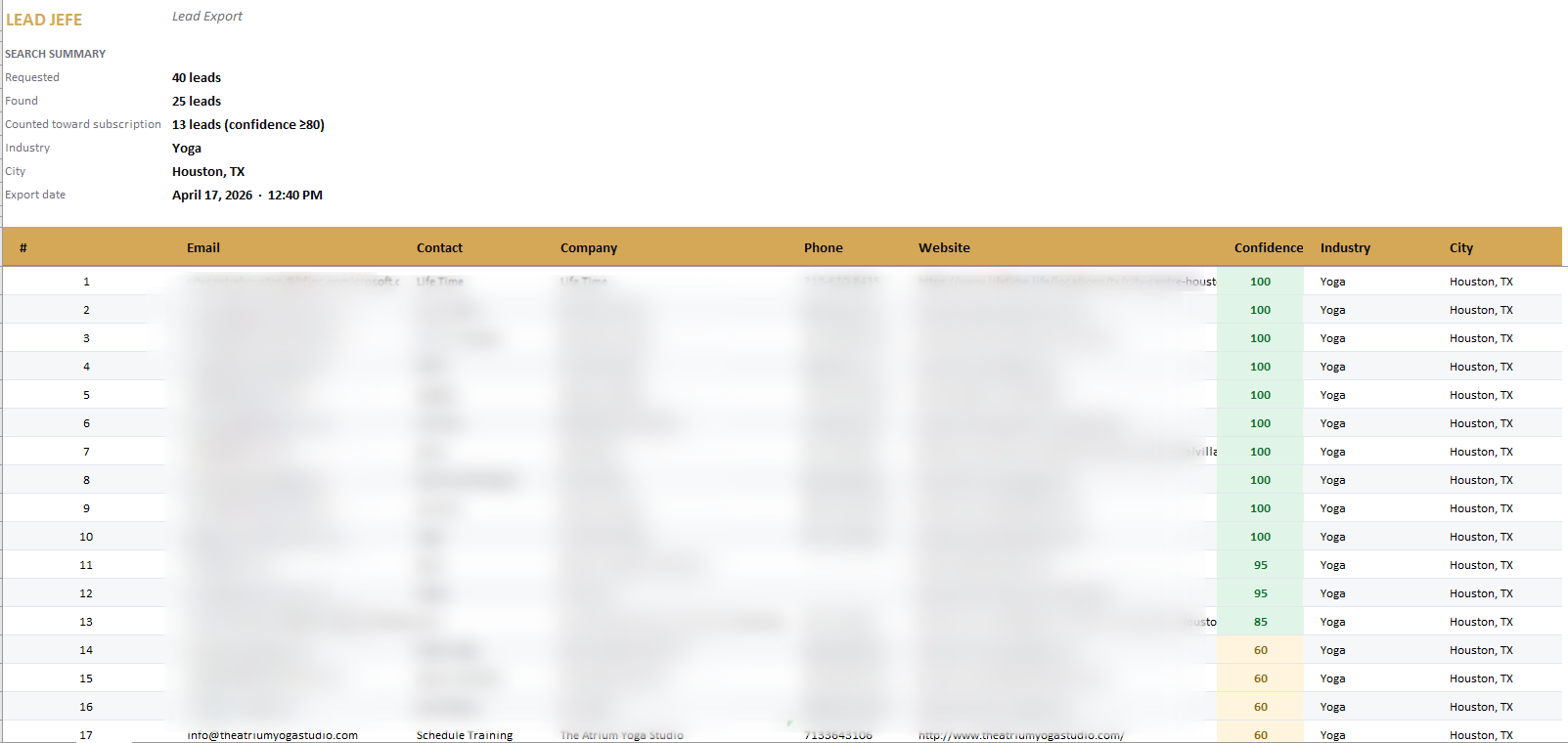 Lead Jefe export — scored lead list ready for outreach or CRM upload